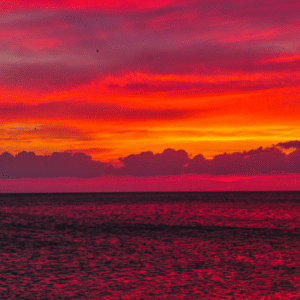 FL Hidden Horizon Tier 1