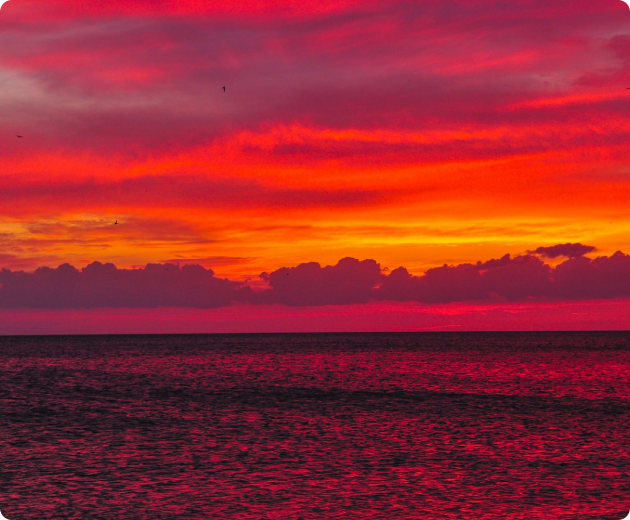 FL Hidden Horizon Tier 1